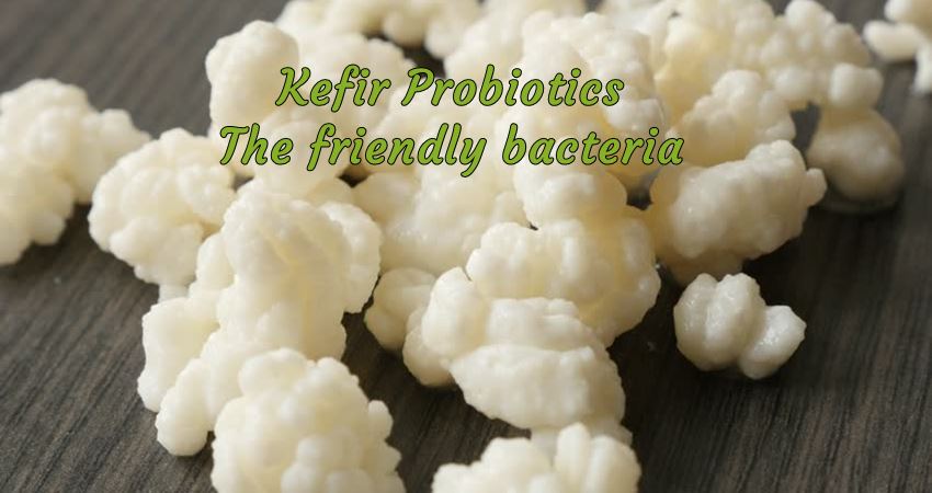 Kefir Probiotics The Friendly Bacteria For Our Gut Healthut